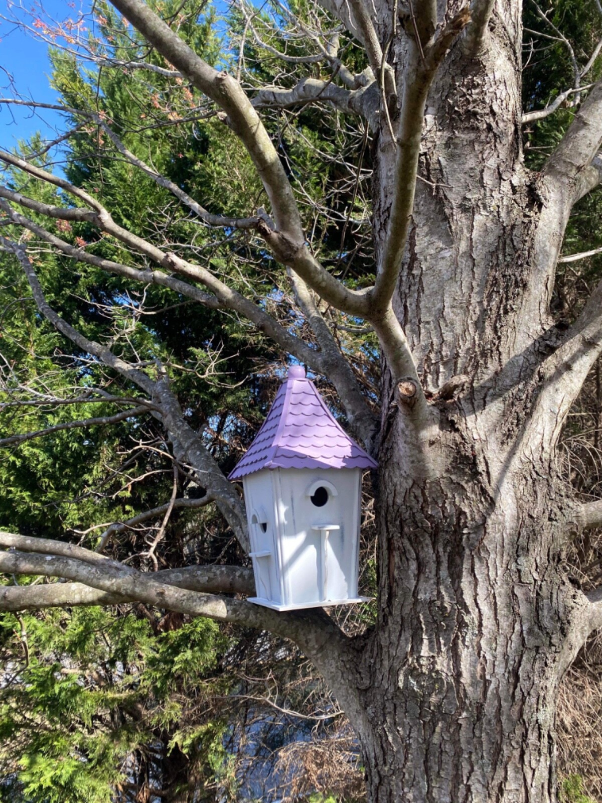 Wooden Bird Houses Outside Decorative Standing Birdhouse Spring for Yard Garden