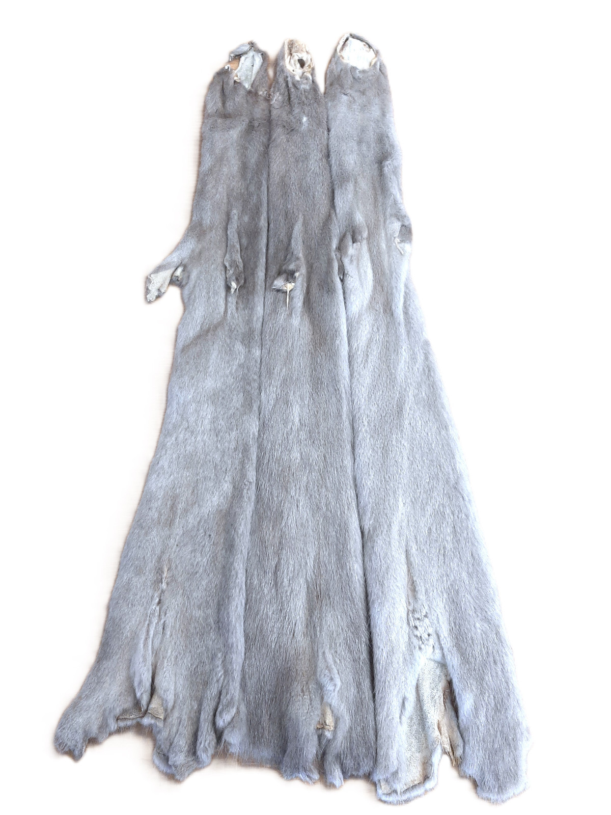 Ranched Mink Pelt, Silver Blue, GORGEOUS
