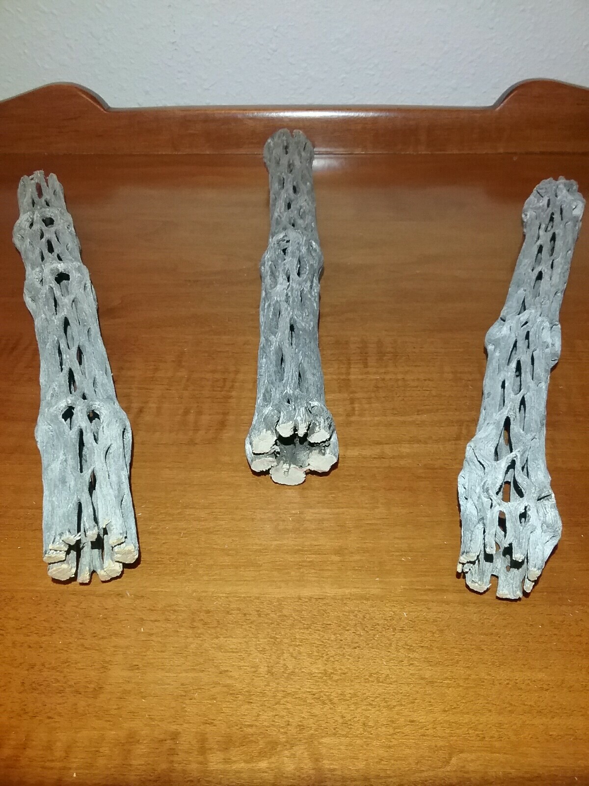 3 pieces of 10" inch Cholla Wood | Organic Cactus | Aquarium Decor | Chinchilla