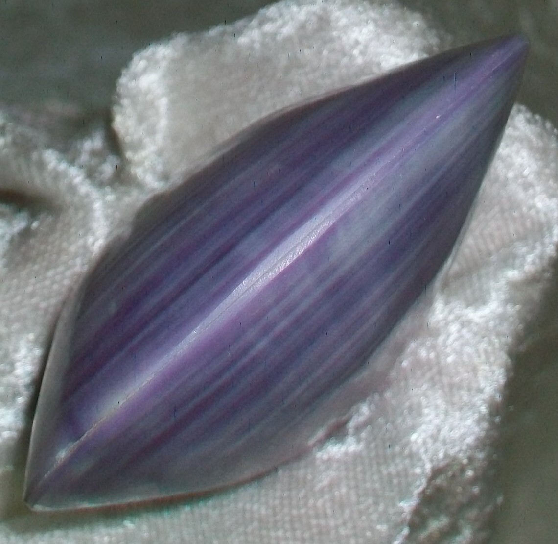 Hand Polished Violet Purple Saltwater Clam Clamshell Beach Nautical Table Decor