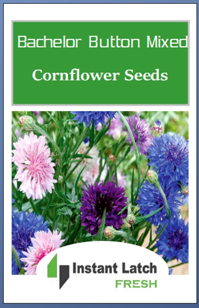 Bachelor Button Cornflower Mixed Seeds | NON-GMO | Heirloom | Fresh Garden Seeds