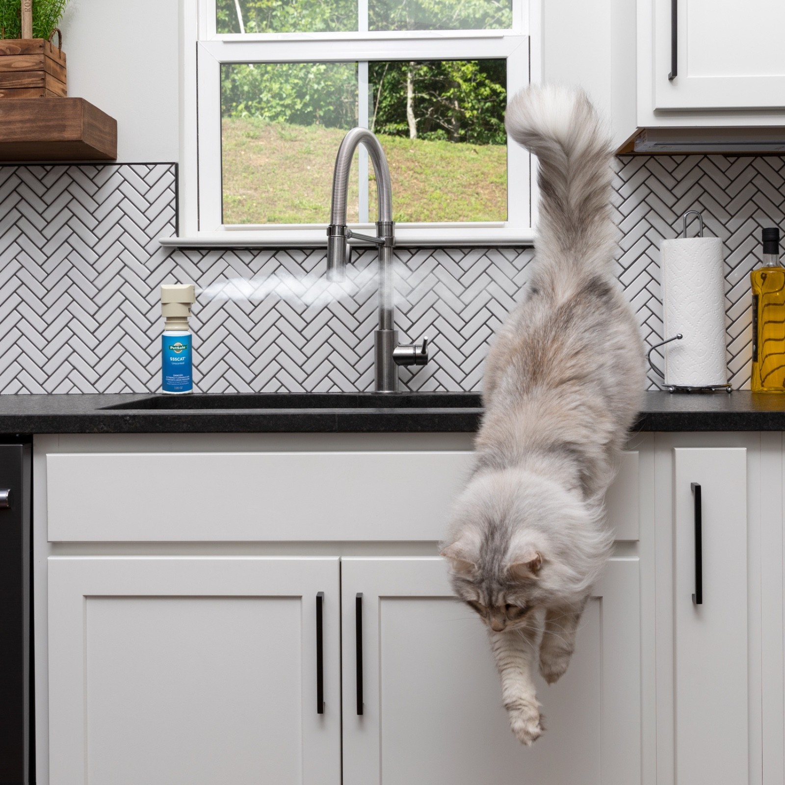 PetSafe SSSCAT Unscented Spray Refill Cans Replacement – PPD00-16818