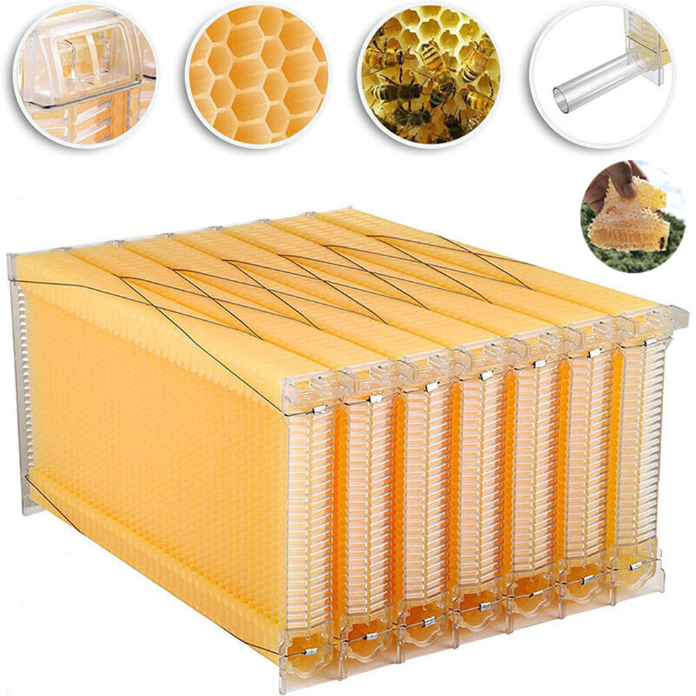 Wooden Beekeeping Beehive House Box + 7PCS Automatic Honey Bee Comb Hive Frame