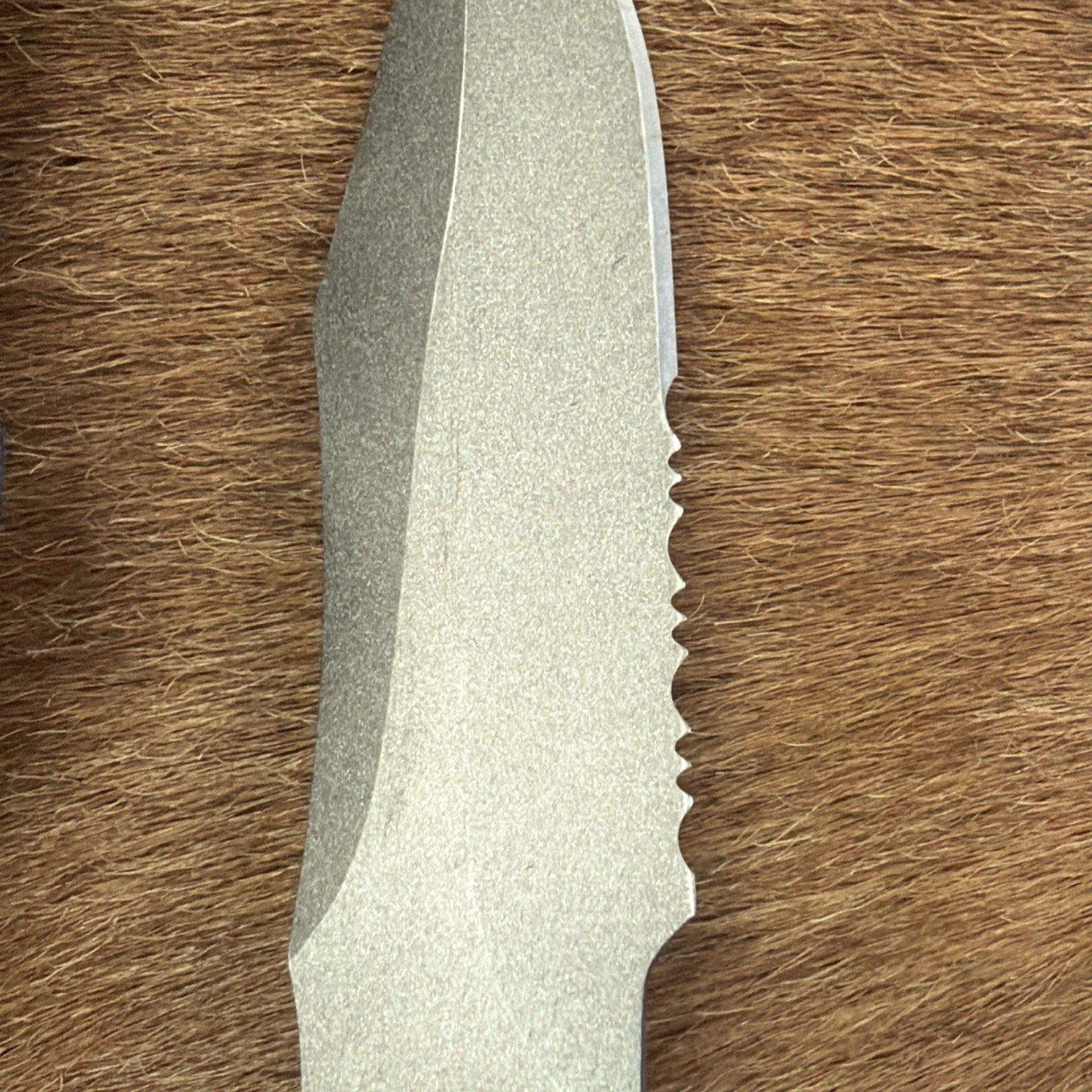 SEKI-JAPAN SOG SEAL PUP SATIN FINISH FIXED BLADE KNIFE