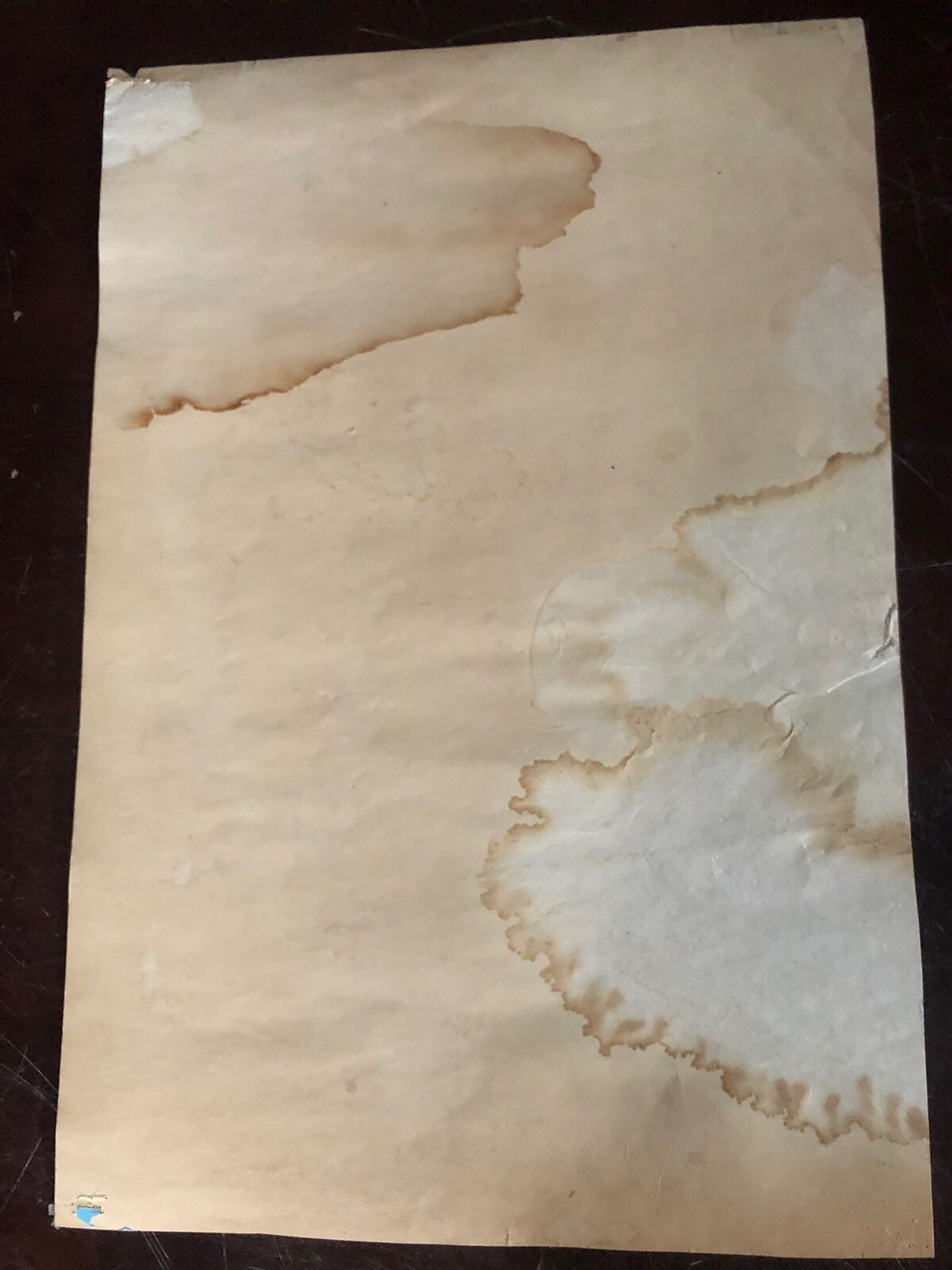 Bill Graham Poster Fillmore BG-93 Doors Procol Harum