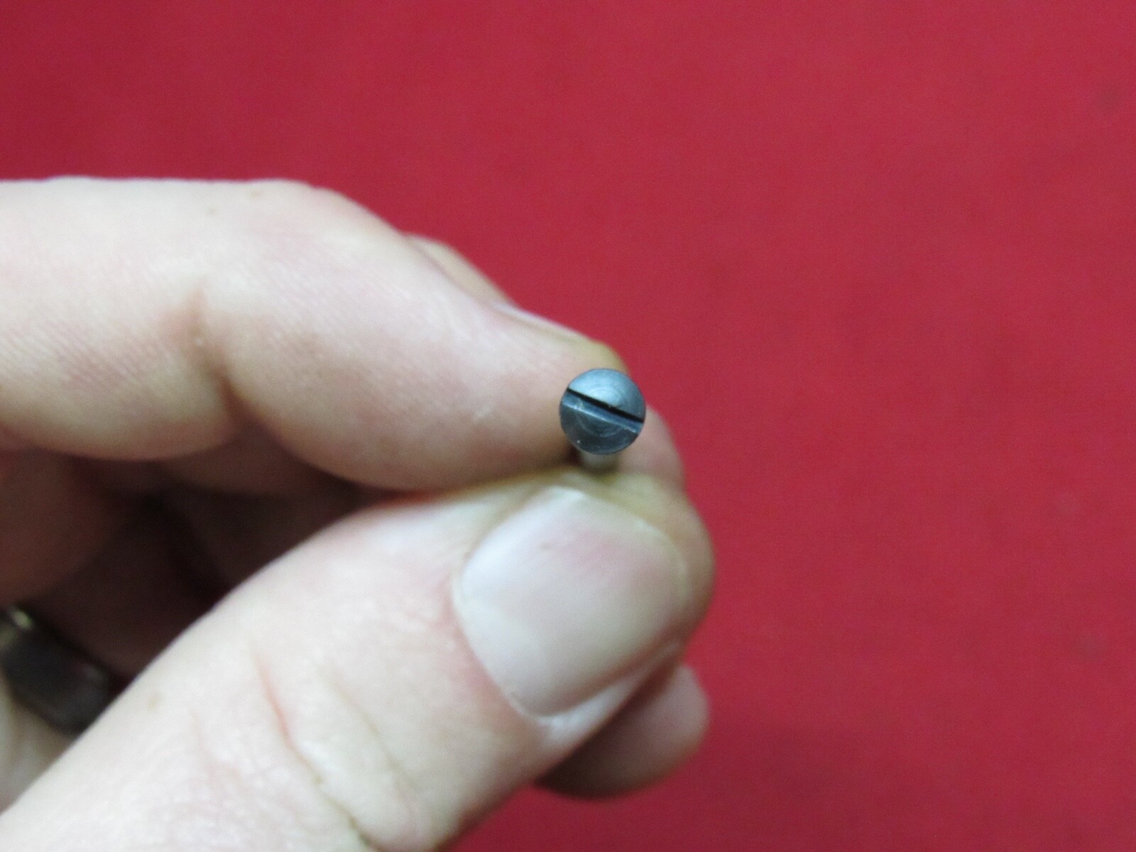 Marlin 30 36 336 & 1894 Rear Band Forend / Forearm Screw - P/N 301590