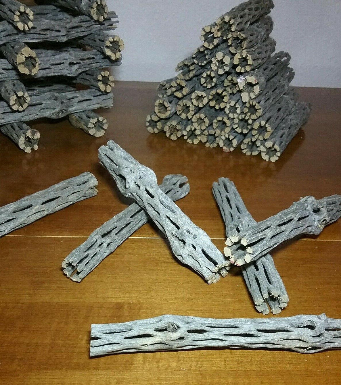 10 pcs 6" CHOLLA Wood Cactus | Organic | Shrimp Fish Aquarium | Decoration Craft