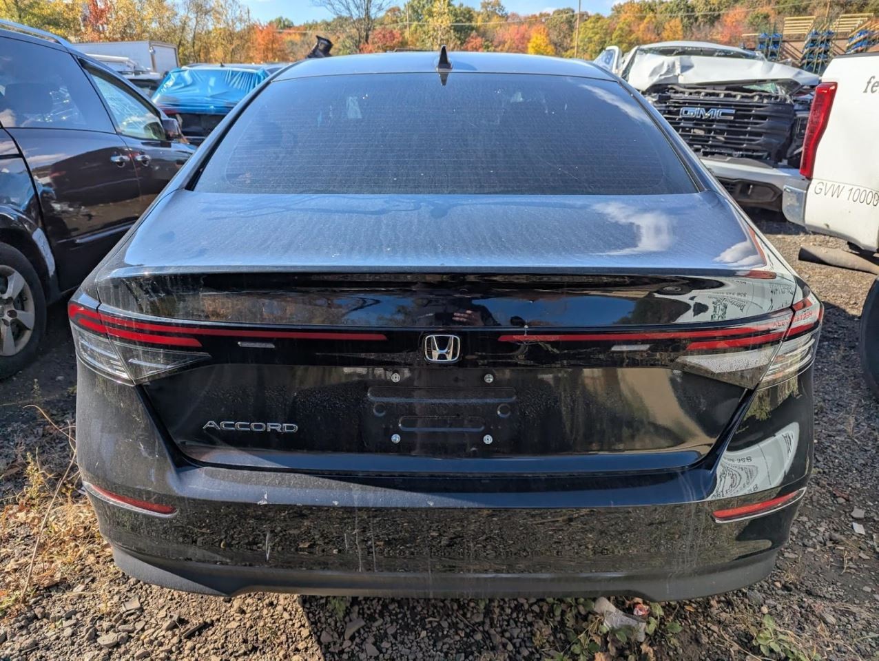 Camera/Projector Radar Unit Behind Rear Bumper Fits 24-25 ACCORD 793755