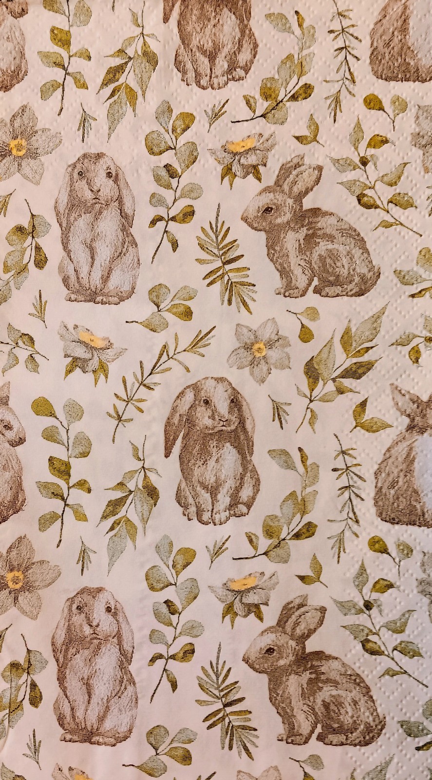 2 Individual  Spring Guest Napkins