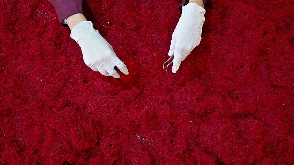 Bulk Genuine Premium Grade A+, All Red, Organically Grown Super Negin Saffron