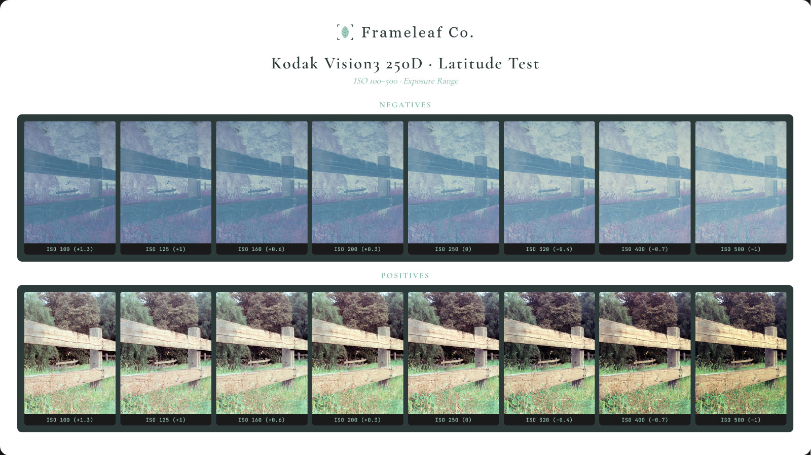 Kodak Vision3 250D 5207 35mm film 36exp iso 250 process ECN-2