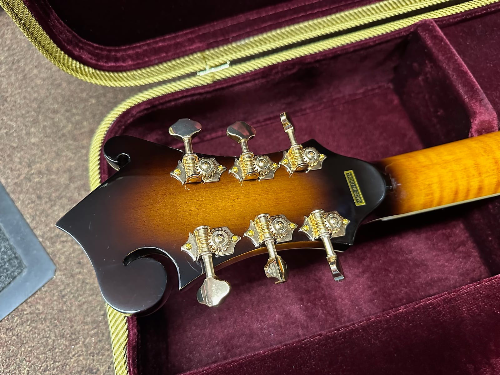 Gold Tone F-6+ F-style 6 String Electric Mandolin Guitar Mando-Guitar New W/Case