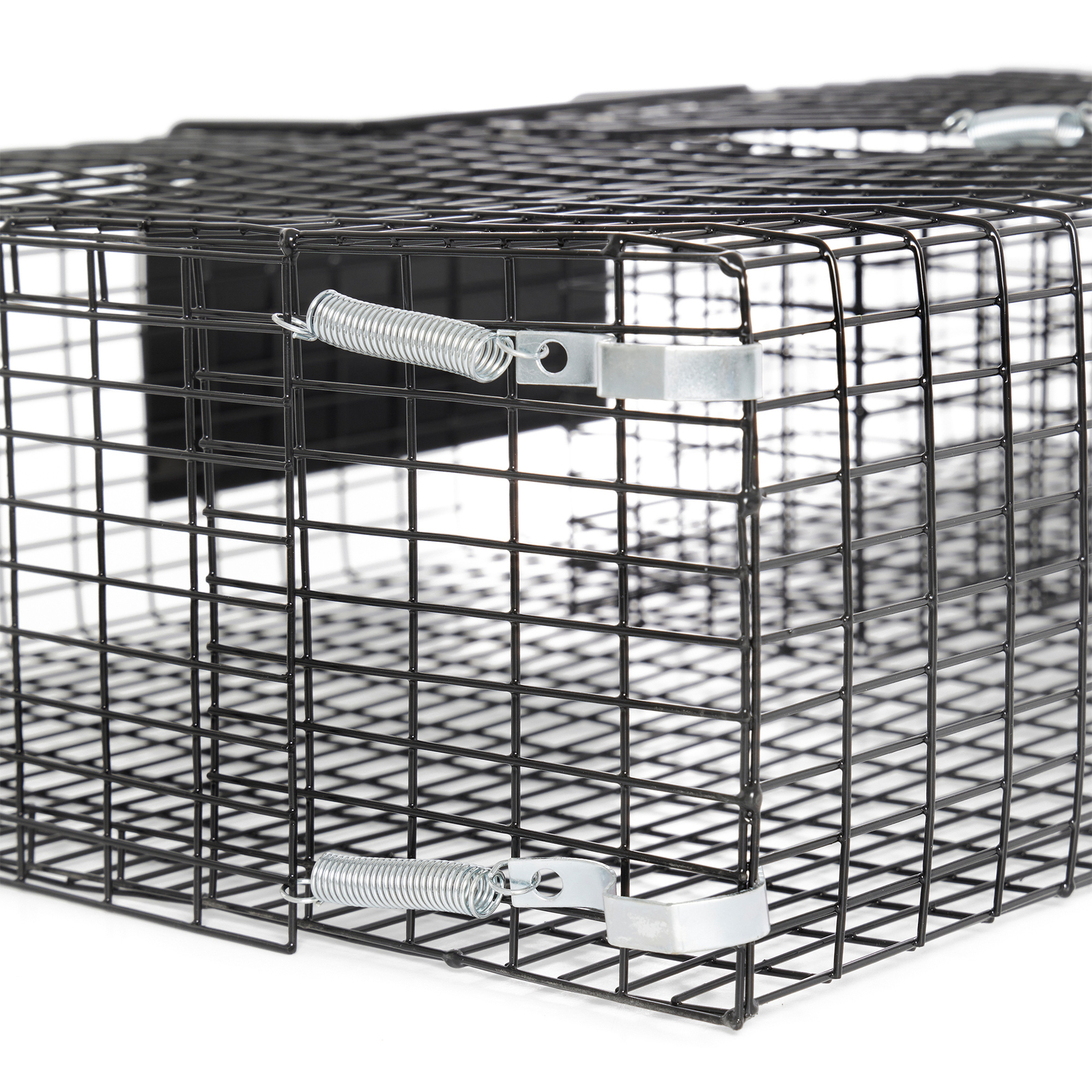 Rugged Ranch RATTR Ratinator Live Rat Squirrel Chipmunk Metal 2 Door Trap Cage