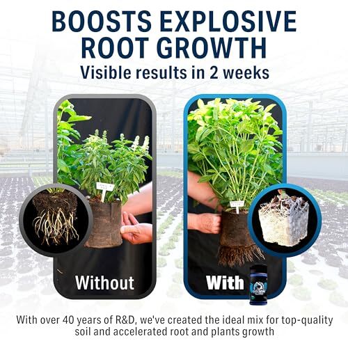 Plant Success Great White Mycorrhizal Fungi 9-Strain 387 Assorted Sizes