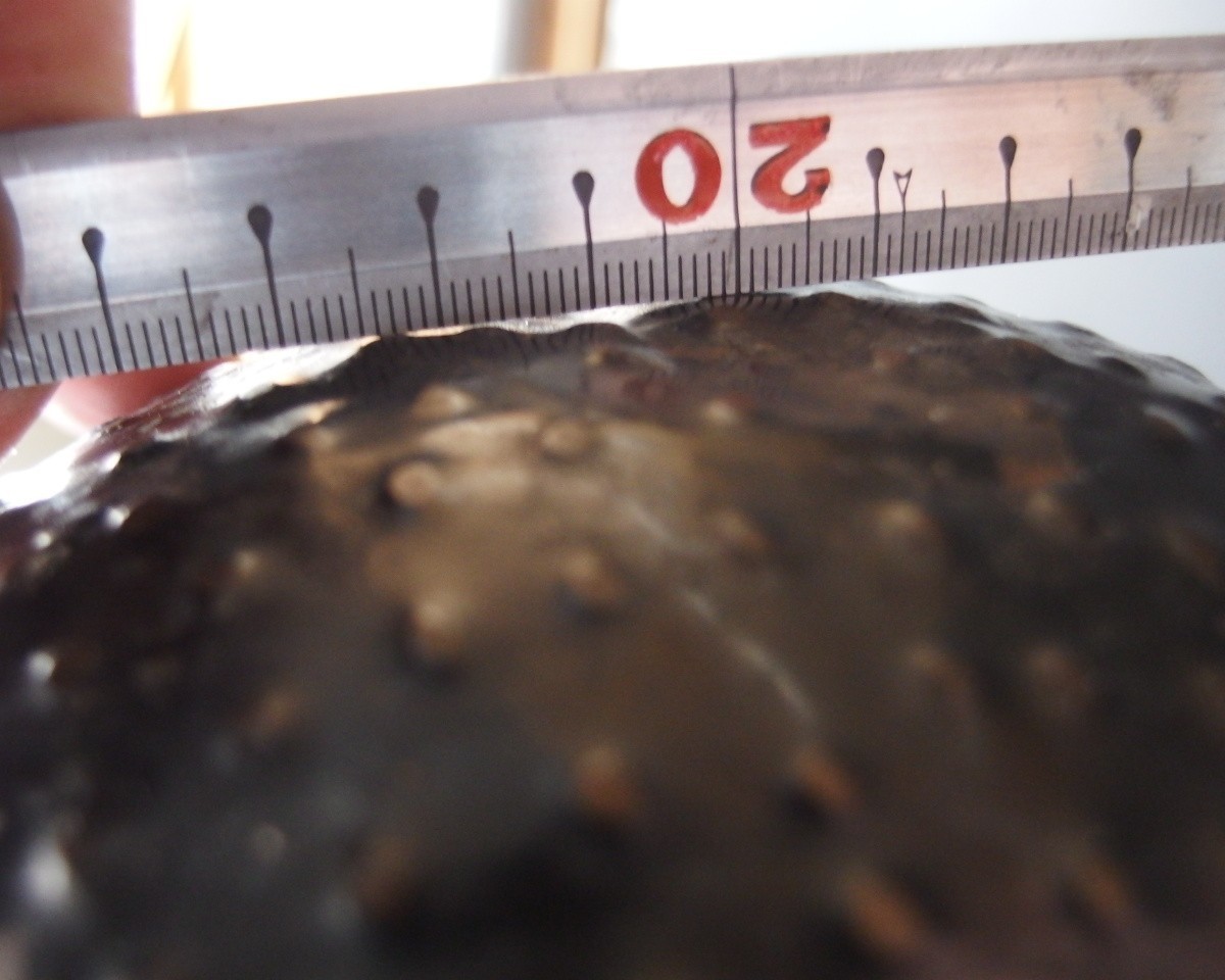 or25132 ANTIQUE JAPANESE BUDDHIST SINGING BOWL 20.3cm / 8inch Width ARARE Type