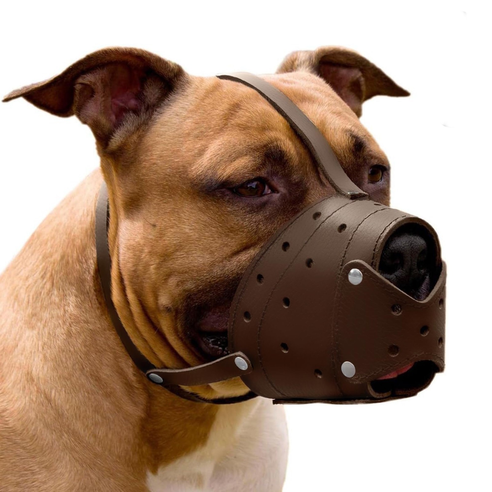Leather Basket Dog Muzzle for German Shepherd Staffordshire Terrier Pitbull M...