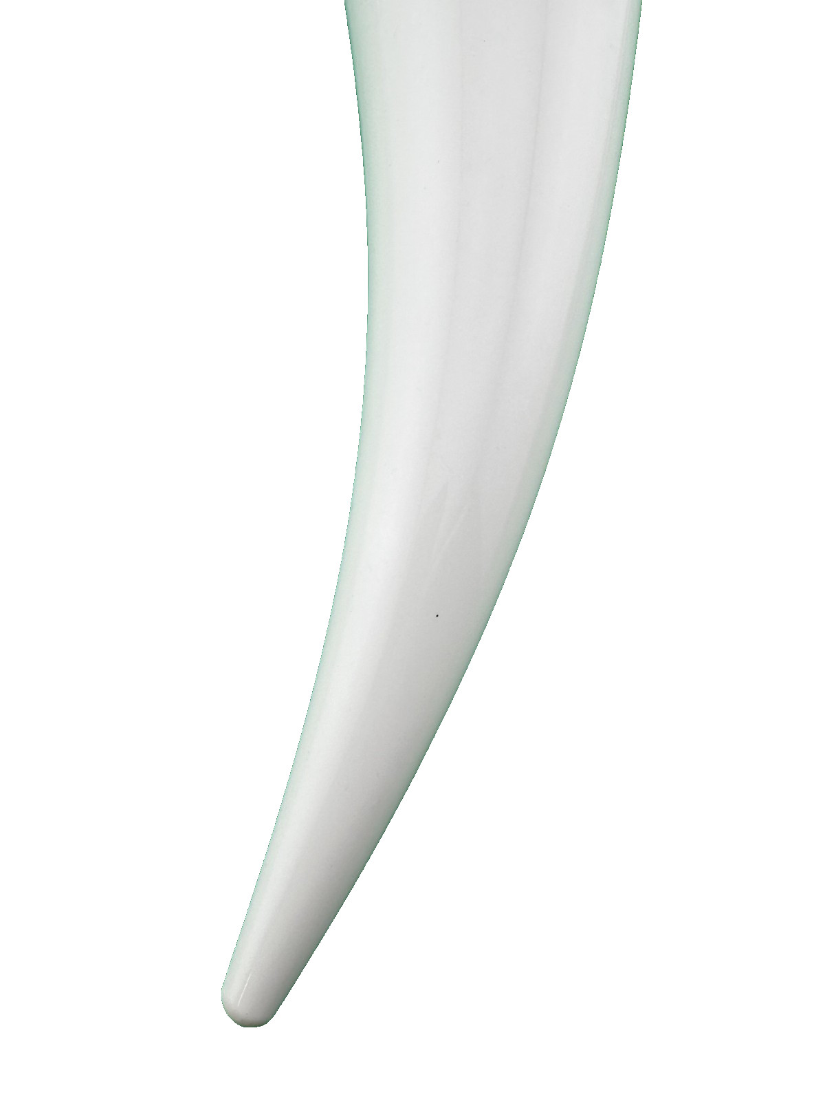 Das Horn Rockville Drinking Horn Mug - Rock Festival Memorabilia