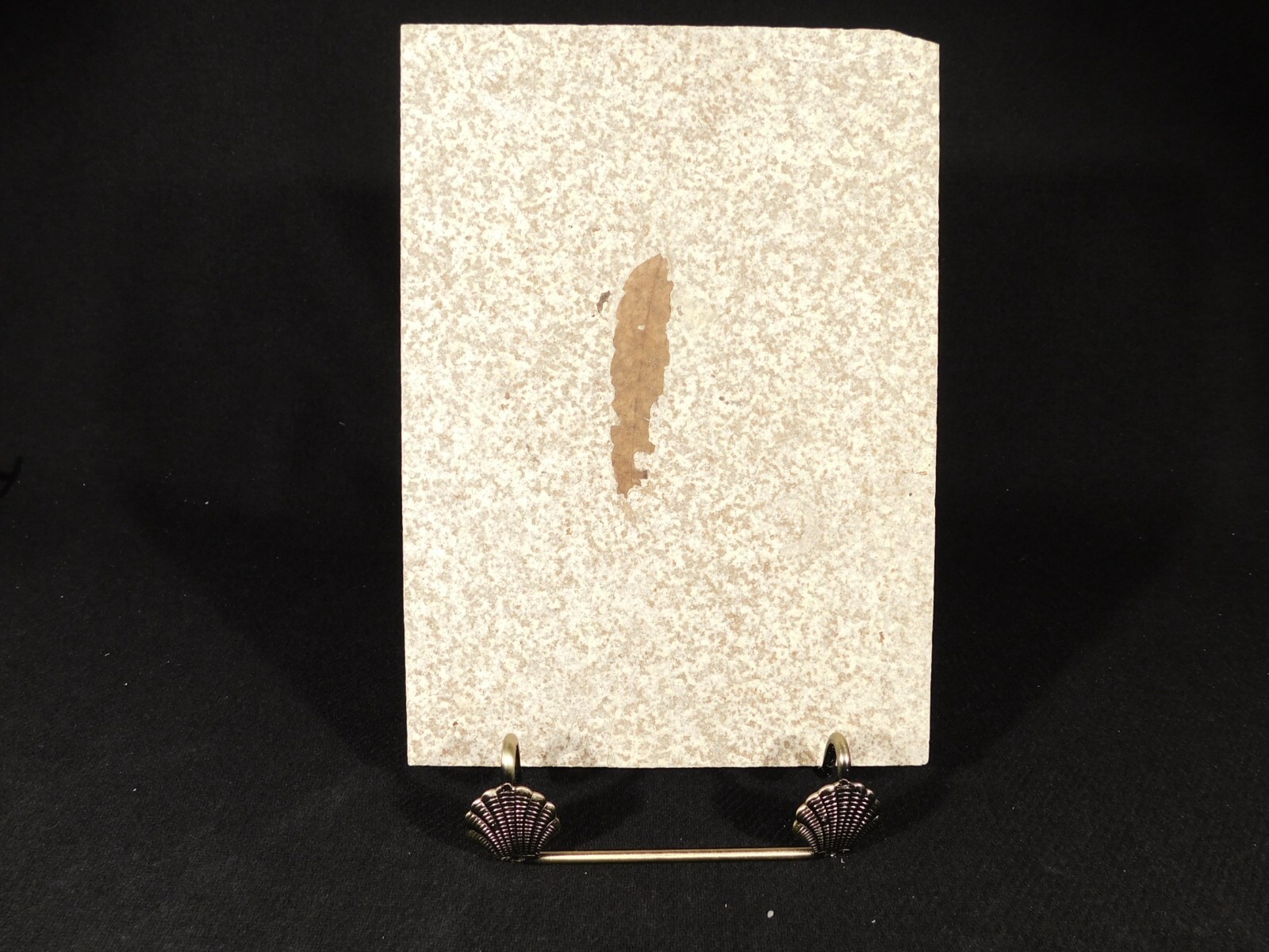 Easel Display Stand Metal Medium Size Adjustable Sea Shell Design