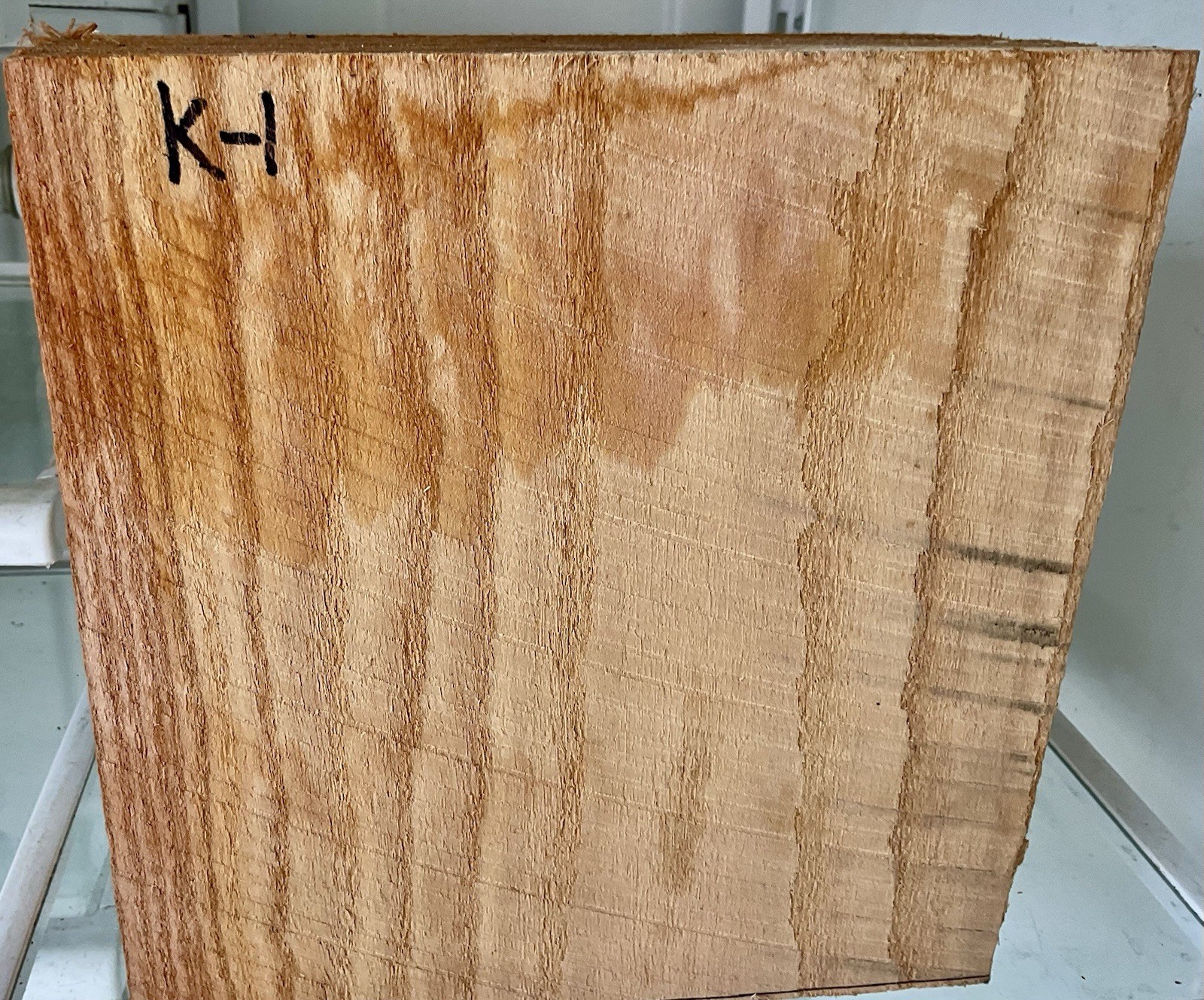 Kentucky coffee Bean fresh cut green Bowl Blank 1-pcs. 4 1/4”x8 1/2”x9” K-1