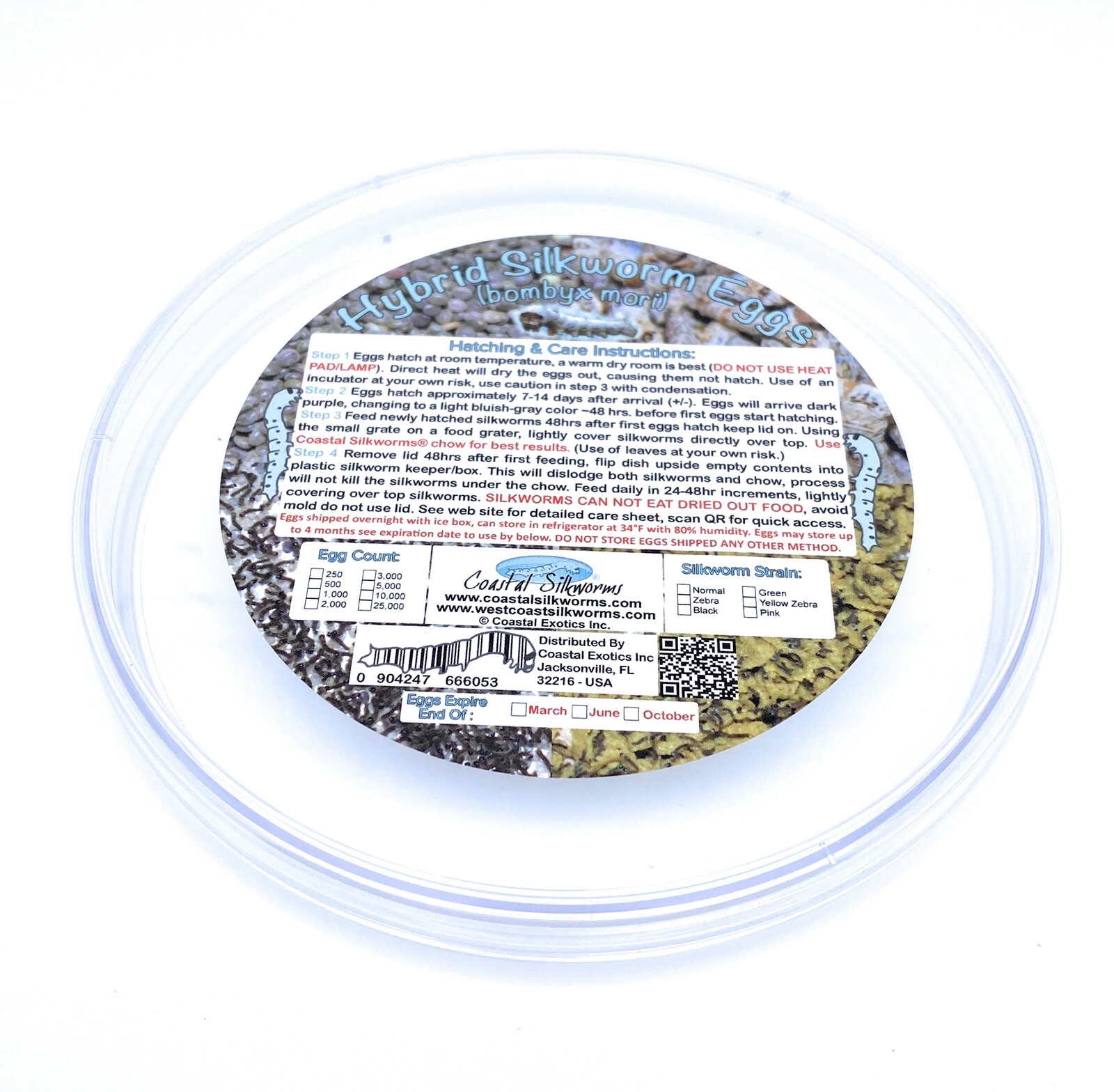 250 Normal Silkworm Eggs (Bombyx Mori) Shipped Free