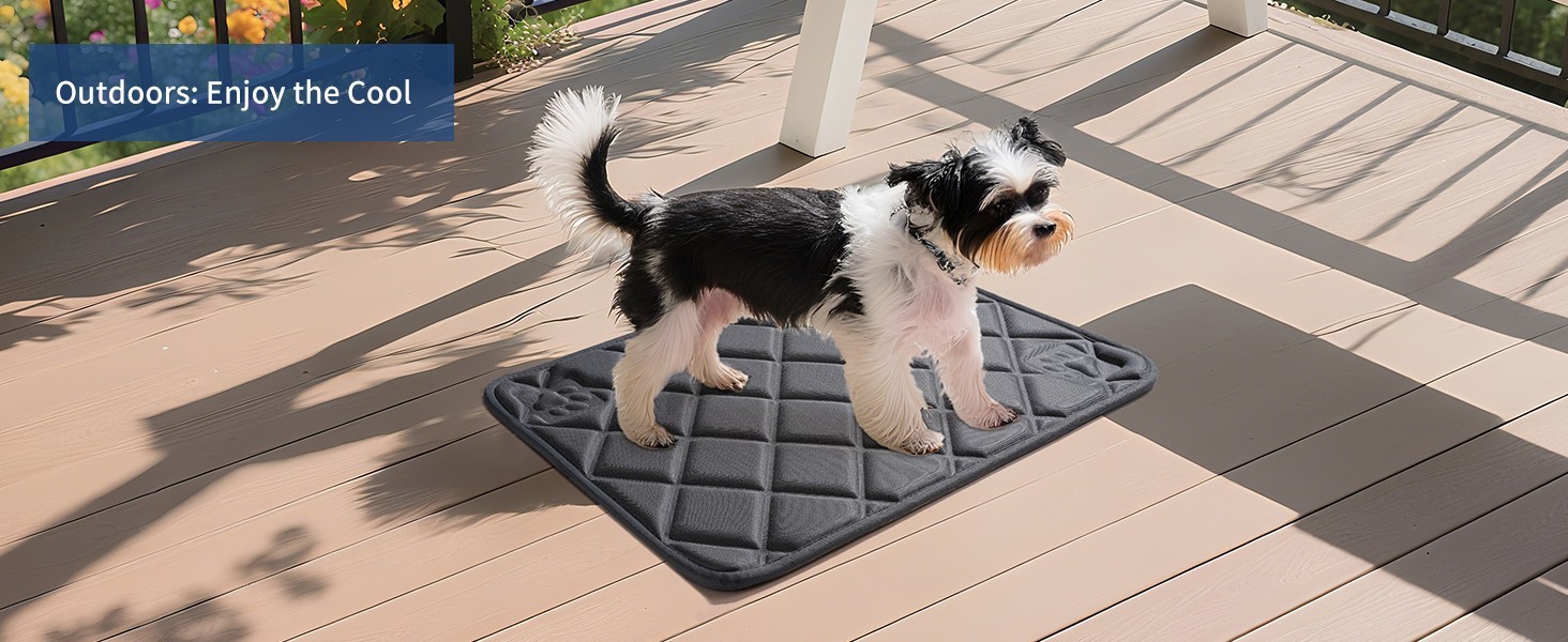 Dog Cooling Mat, Ice Silk Self Cool Pad for Dogs and Cats (35"x24", Black)