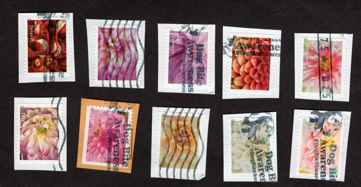#5992-6001 Dahlias Stamps, Used Se-Tenent Set of 10, Forever, On Paper
