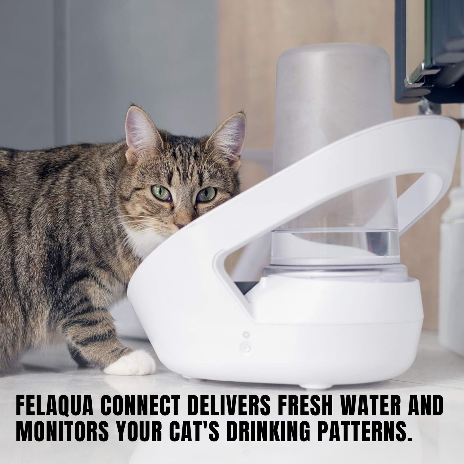 Sure Petcare Felaqua Connect Smart Cat Water Bowl - Tracks Drinking, Safe