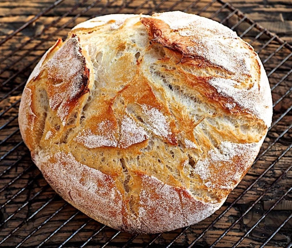 4500 year old Ancient Egyptian Sourdough Starter - Organic Dehydrated Culture