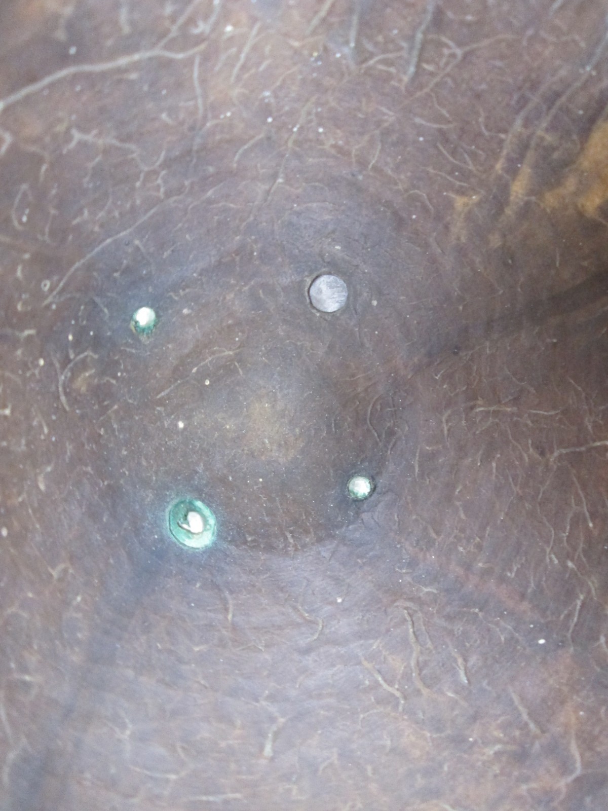 Antique English George III Appolone RUDKINS Sterling Silver Coconut Goblet