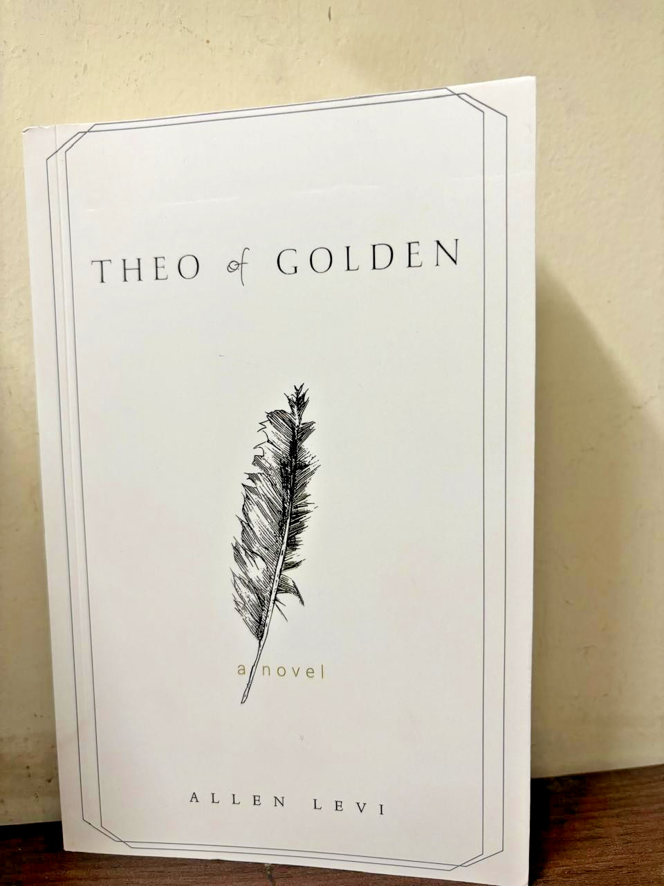 Theo of Golden Paperback by Allen Levi New book.