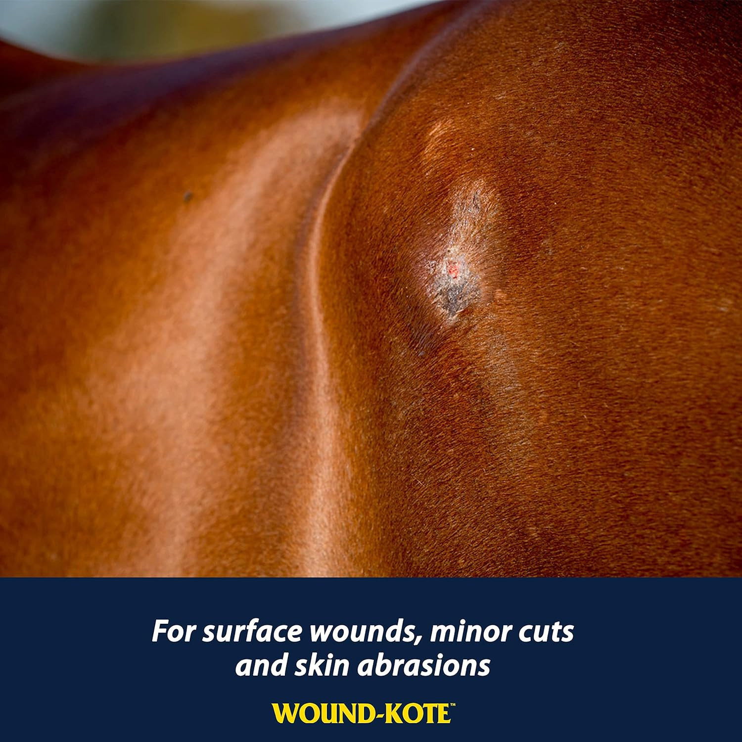 Wound-Kote Blue Lotion Spray Horse Wound Care for Use on Horses and Dogs, Antise