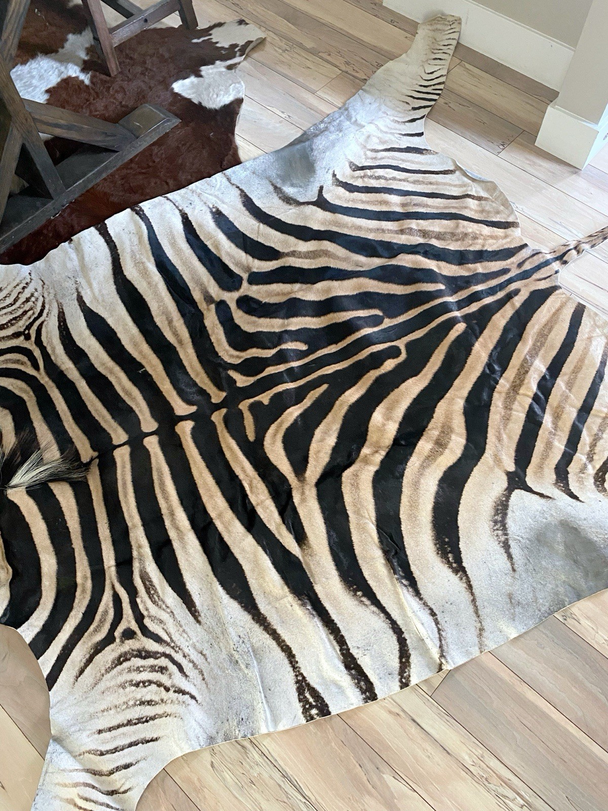 BEAUTIFUL GENUINE EQUUS BURCHELL ZEBRA SKIN RUG HIDE - US SHIPPER