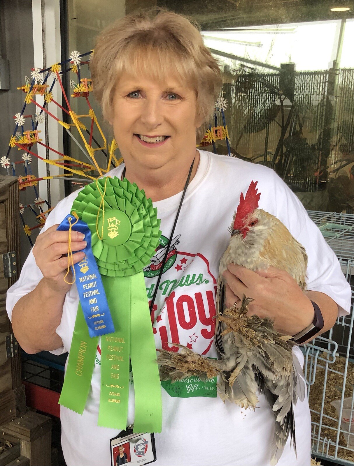 12+ PORCELAIN D’UCCLE BANTAM Fresh Hatching Eggs. Laying Now.