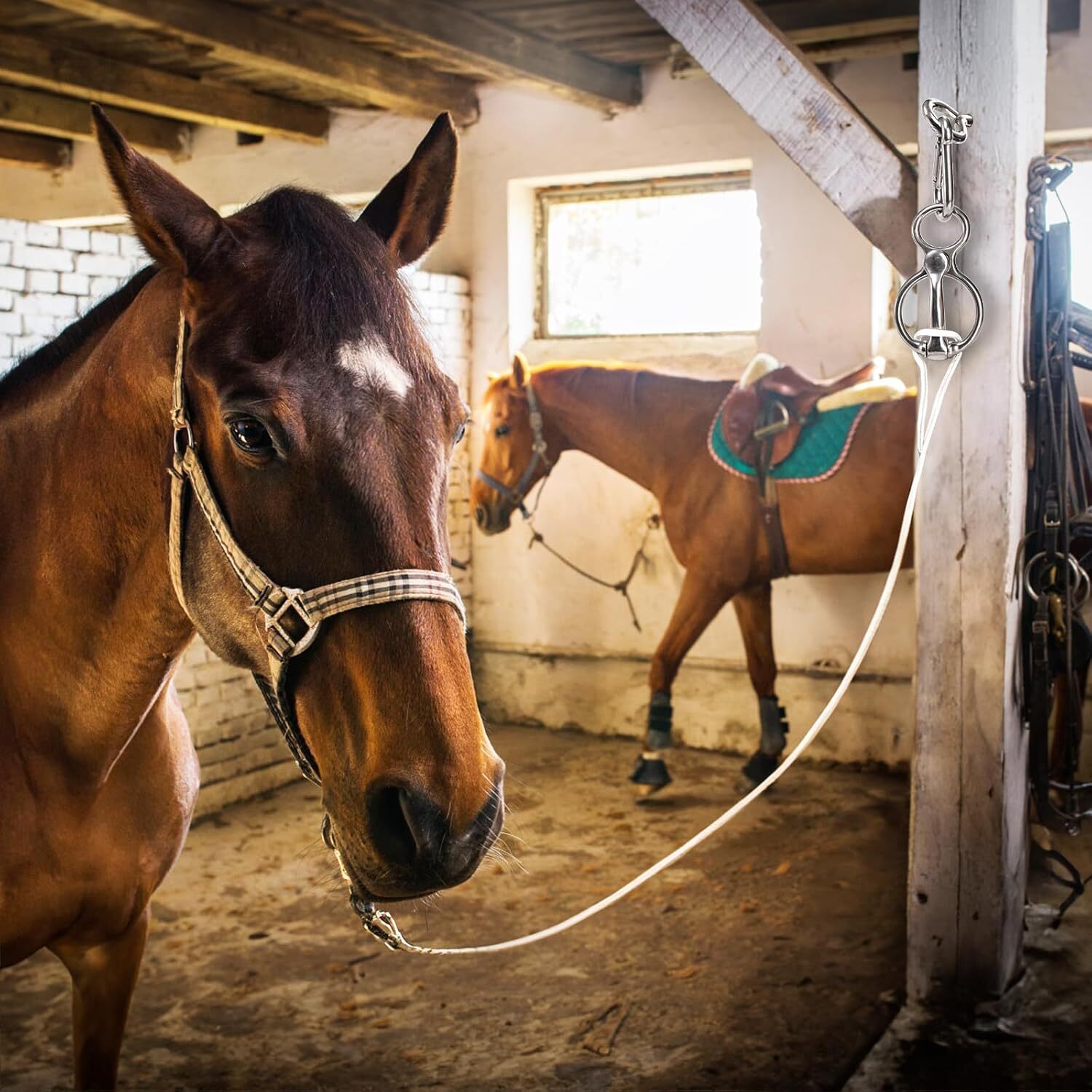 3 Pack Horse Tie Ring Tie Ring for Horses 304 Stainless Steel Horse Training Way