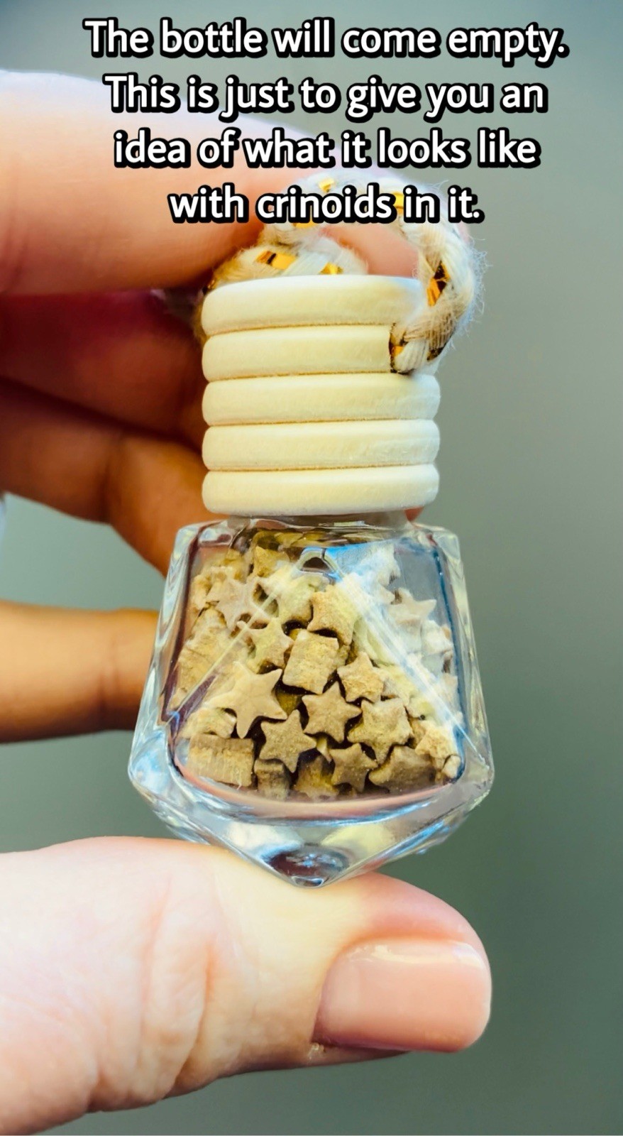 XL Glass Geometric Bottle With Screw-Top Lid and Rope for Hanging
