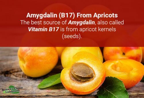 Bitter Apricot Kernels, 1 Pound, Natural B17 Source California Grown