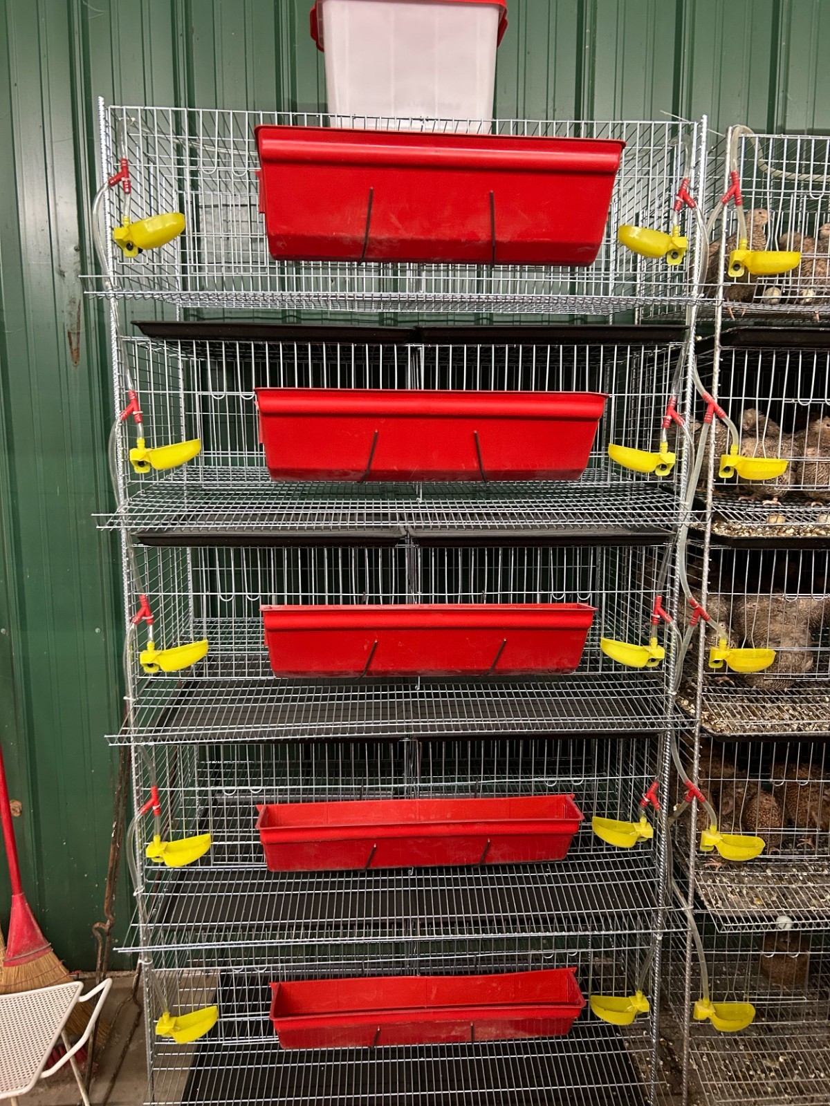 TOF Complete Coturnix Quail Cage System -- Just add quail!