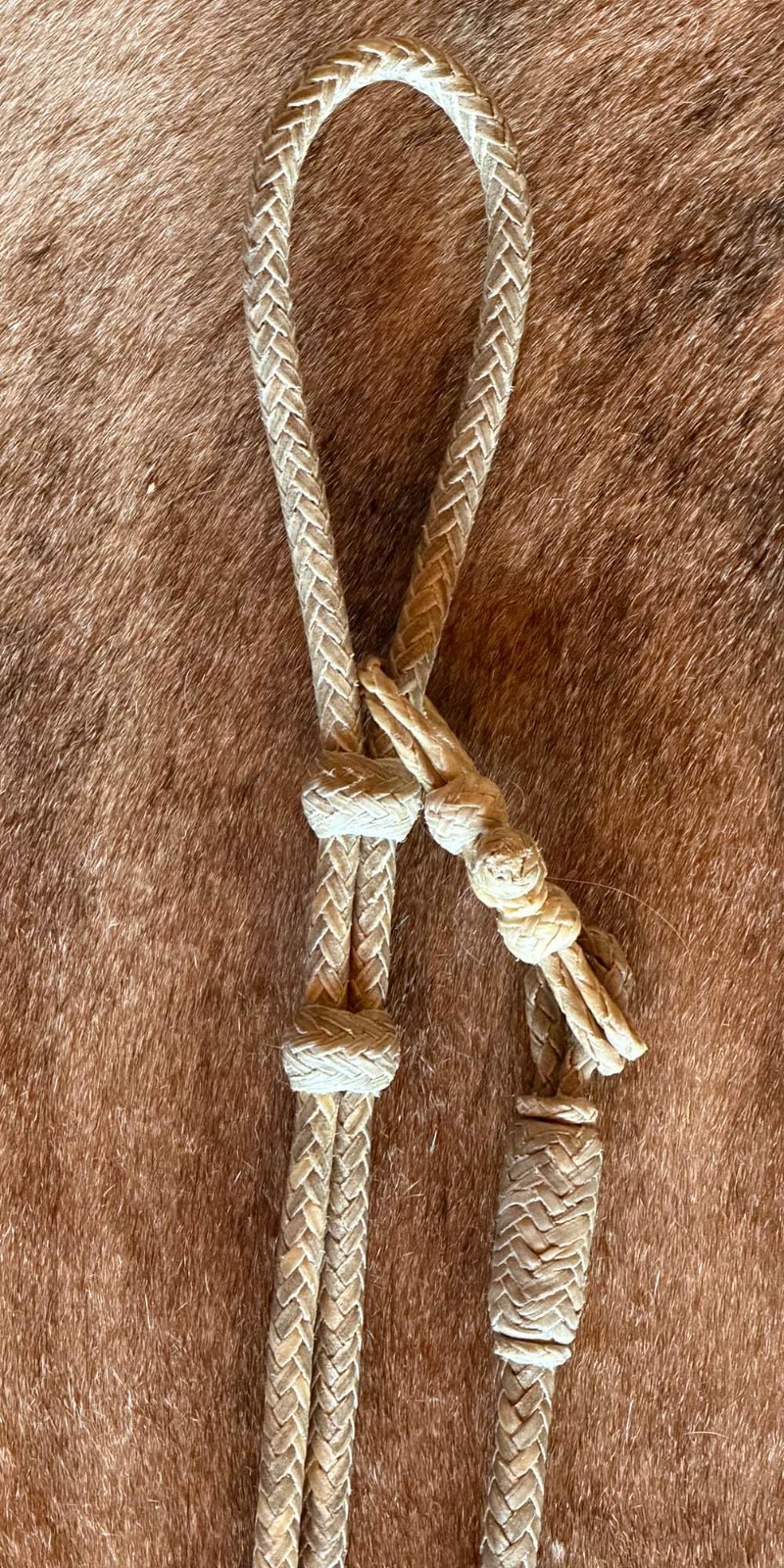 COWBOY Vaquero New 12 Plait WEIGHTED RAWHIDE ROMAL REINS By Steve Guitron Cowboy
