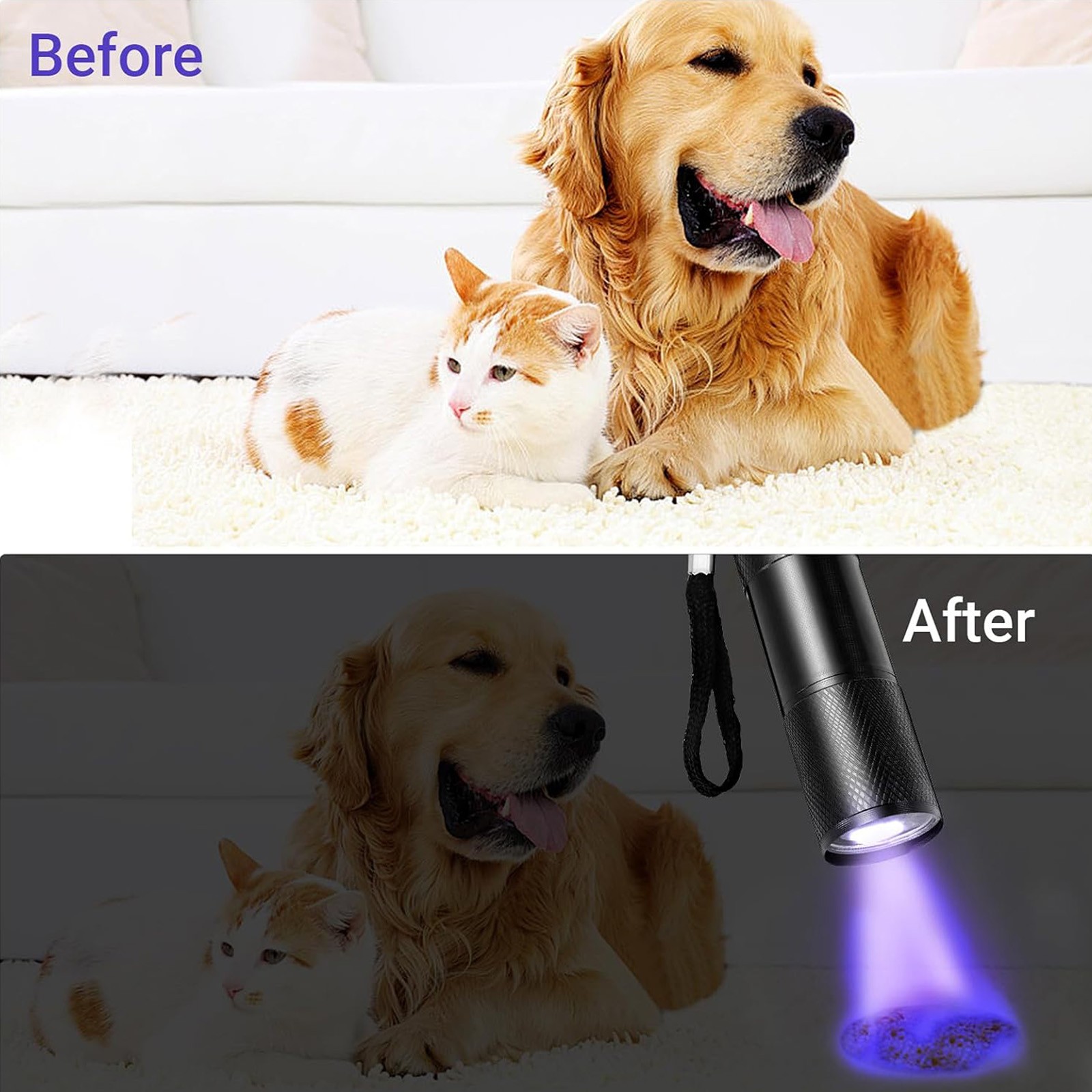 20PACK EDC UV Flashlight Pen Light 395nm Black Light for Pet Urine Detection