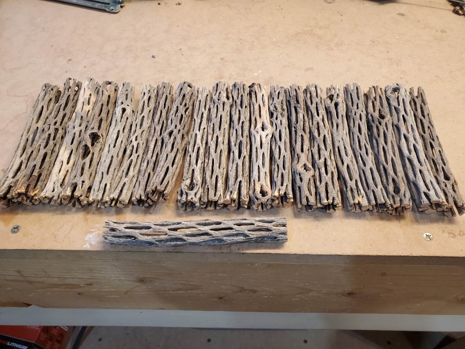 20 pcs 6" inch CHOLLA Wood Cactus | ORGANIC, Untreated | Shrimp Aquarium CRAFTS!