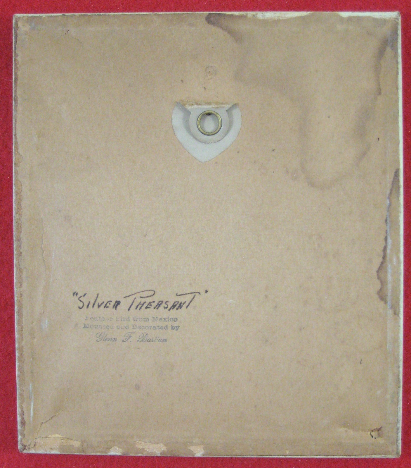 Lot of 5 Feather Art Bird Small Pictures Glen Bastion 1890-1966 Indiana Artist