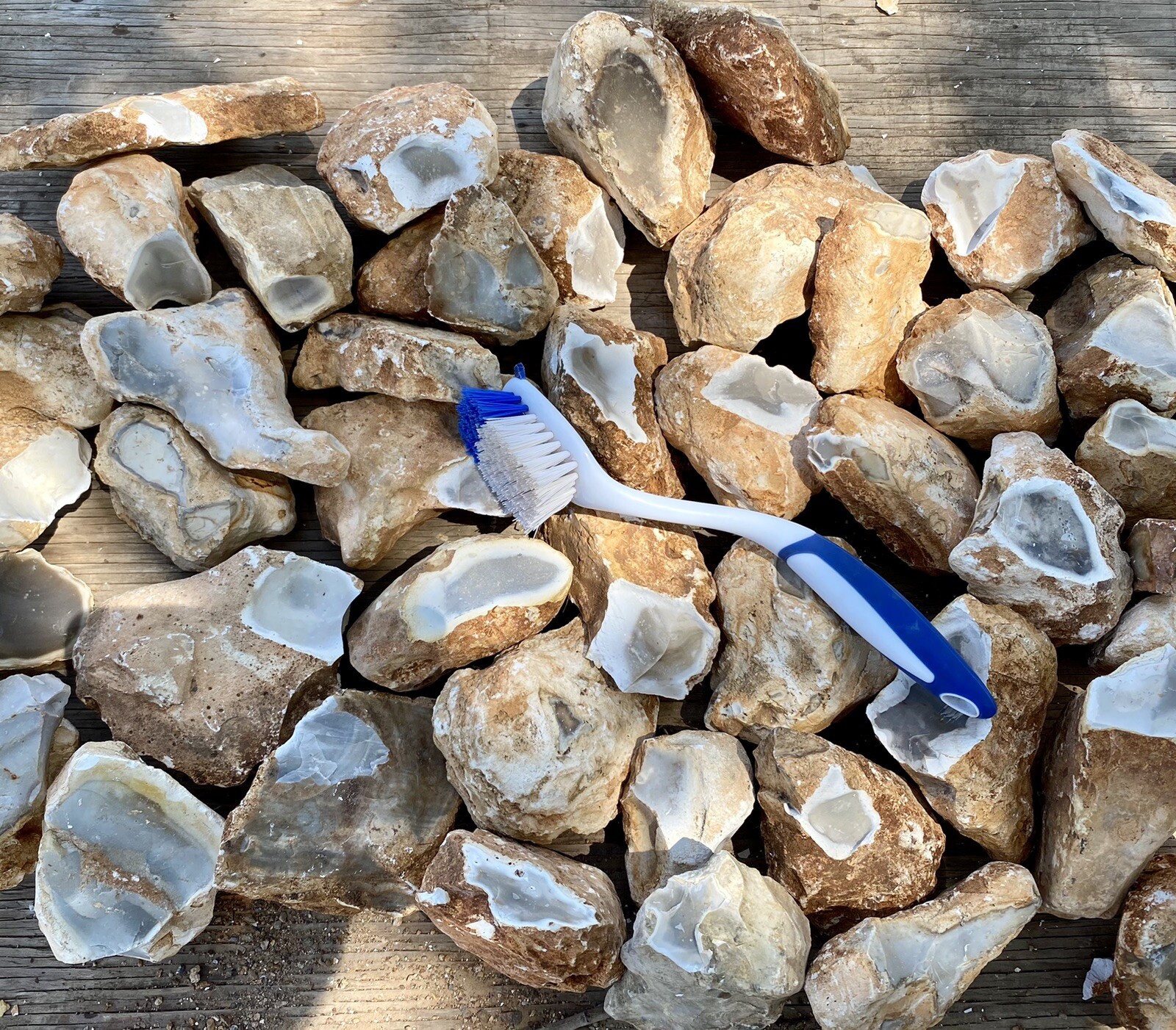 8+ POUNDS Central Texas “Edwards Plateau”Chert/Flint Rocks for Knapping/Lapidary