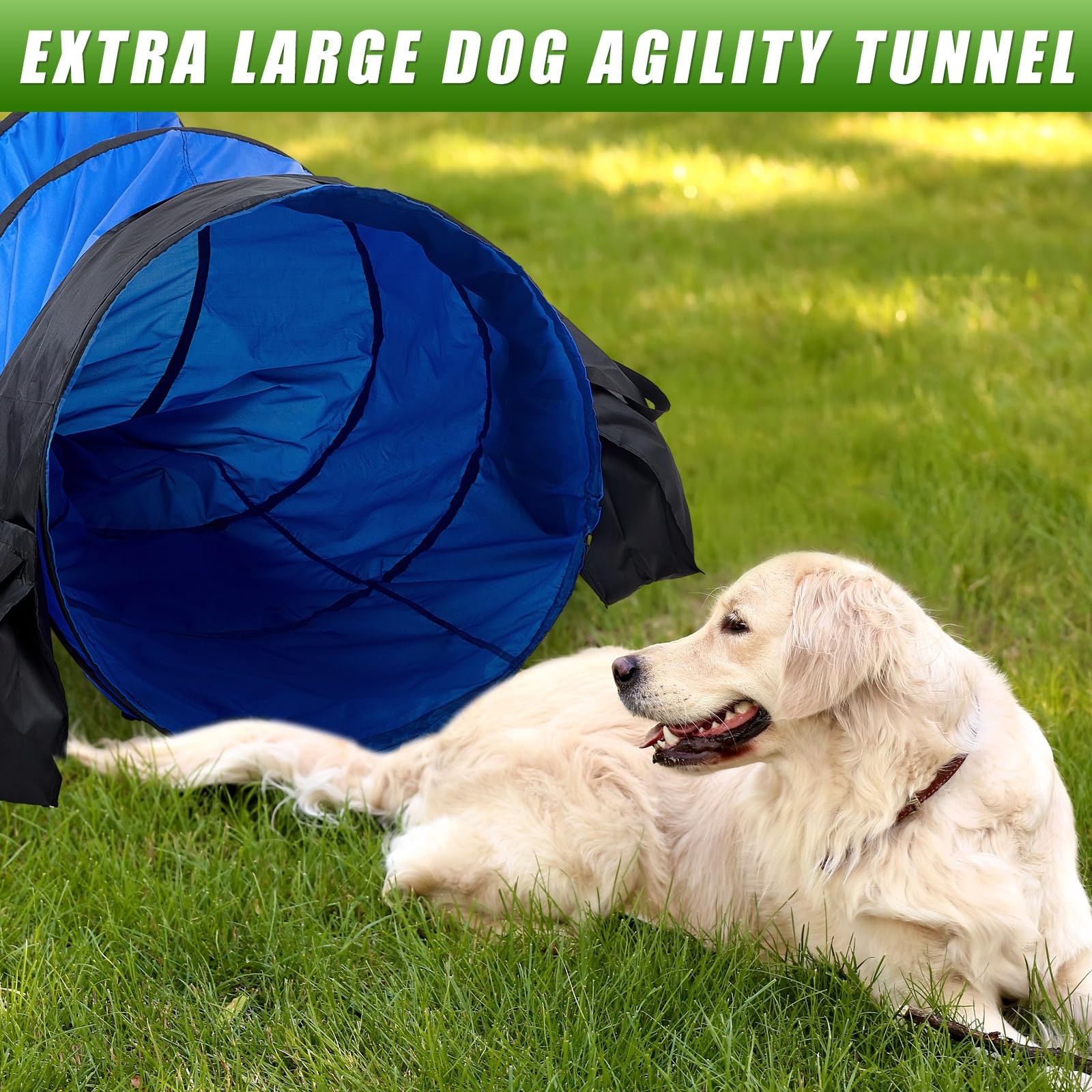 28 in 10 Foot Blue Extra Large Dog Agility Tunnel with Sandbags Dogs Agility ...