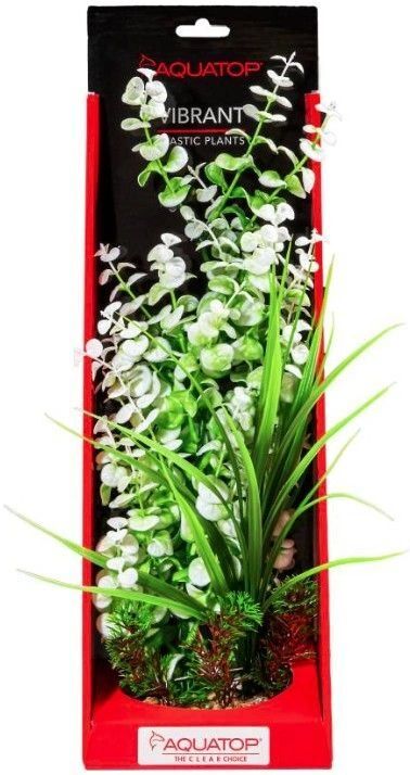 Premium Quality Vibrant Aquarium Plant-White