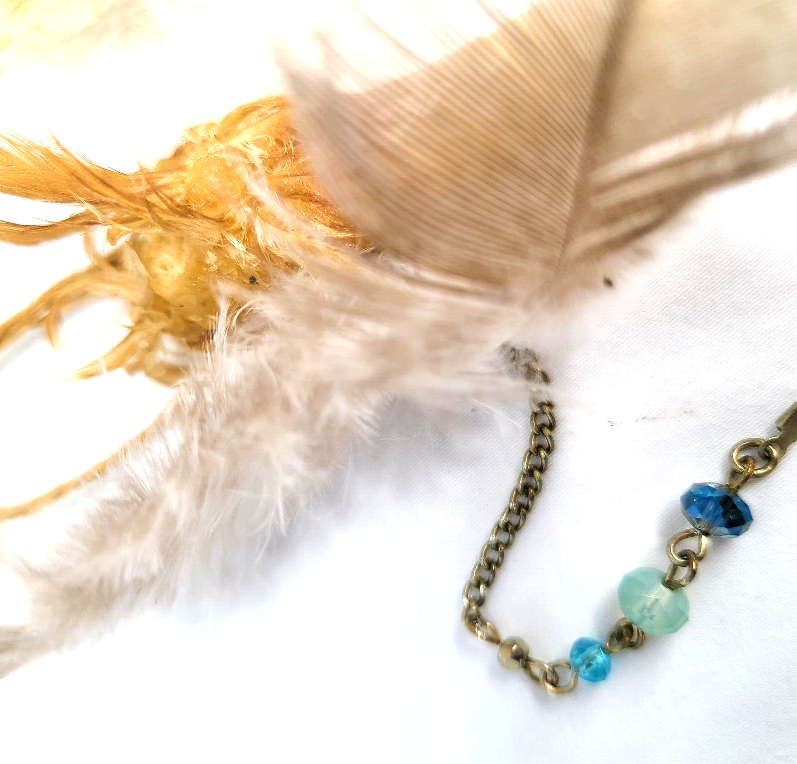 Good Luck Charm Lucky Charm Chicken Foot Voodoo Protection Occult Items Oddity