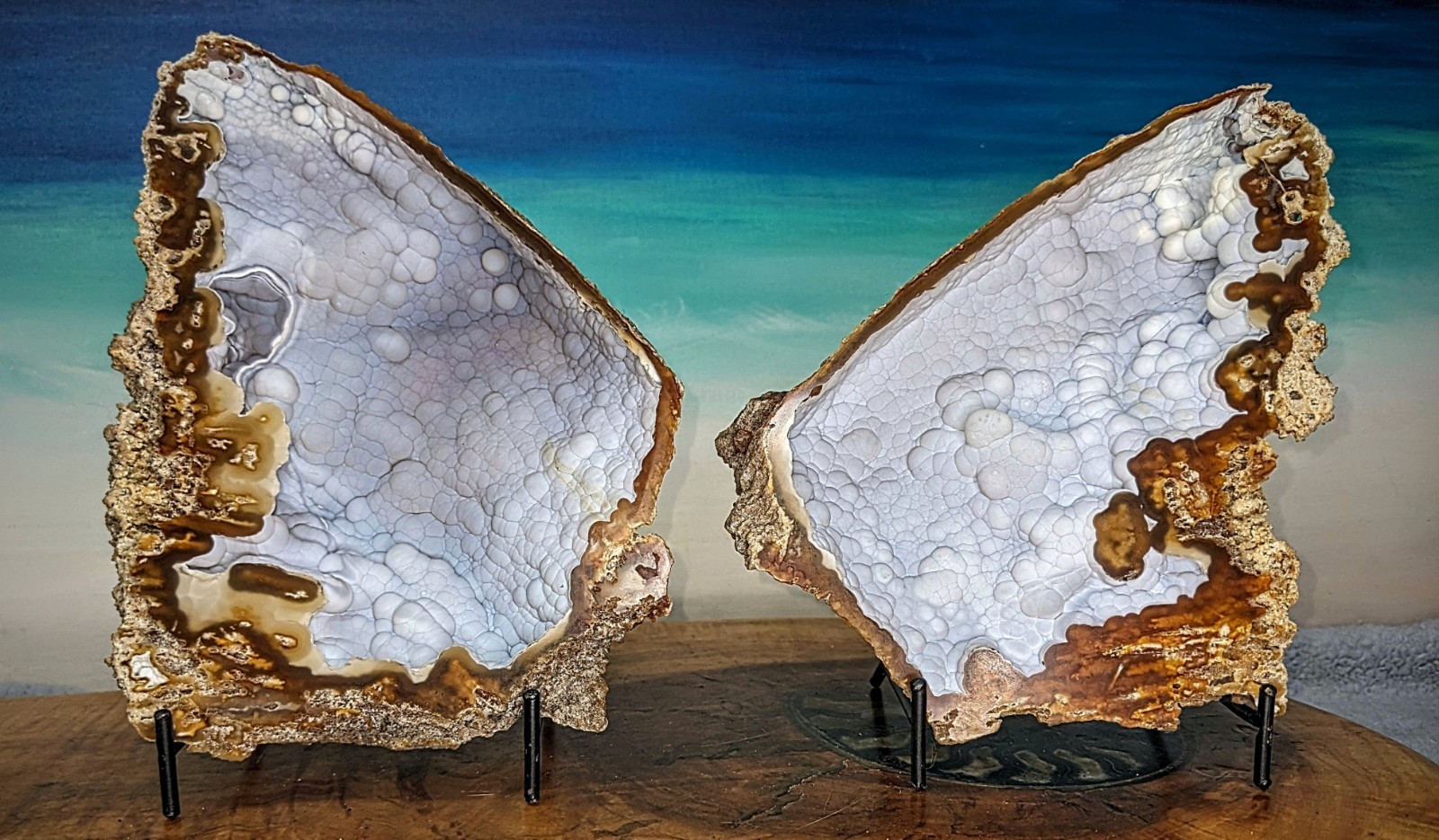 Agatized Coral Fossil Split Geode Botryoidal Blue/Violet Butterfly w/stands