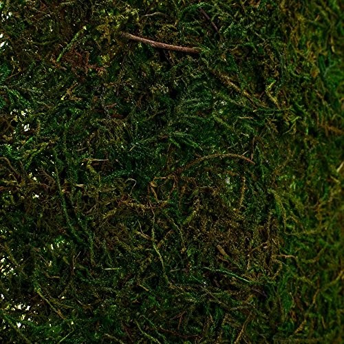 Dried Moss Table Runner for Party Garden 30cm X 180cm ( 12" x 71" )