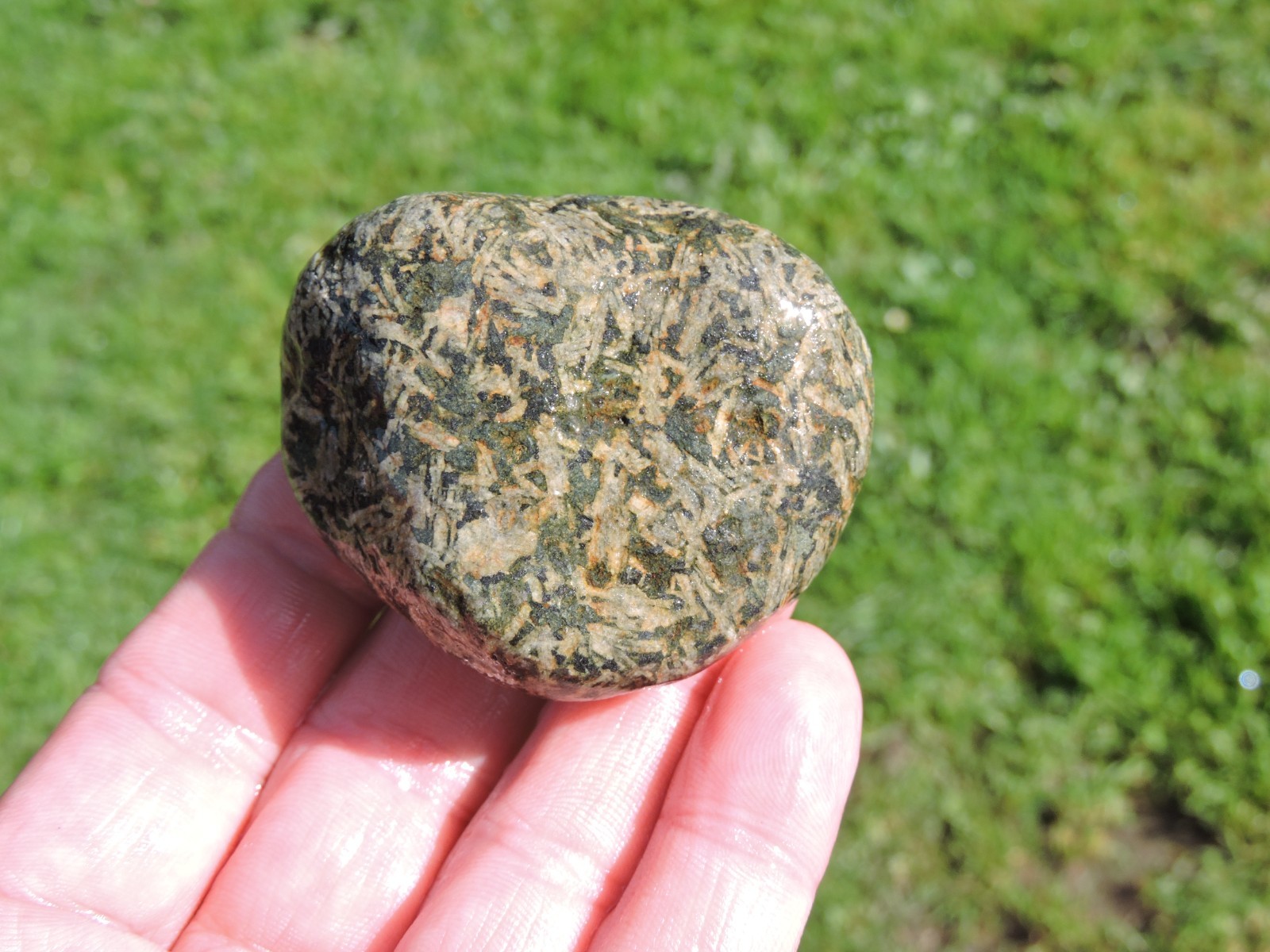 Lot of 🌈 Tumbler Size RAINBOW MIXED STONES from PNW (11.5 lbs) WEST COAST ROCKS