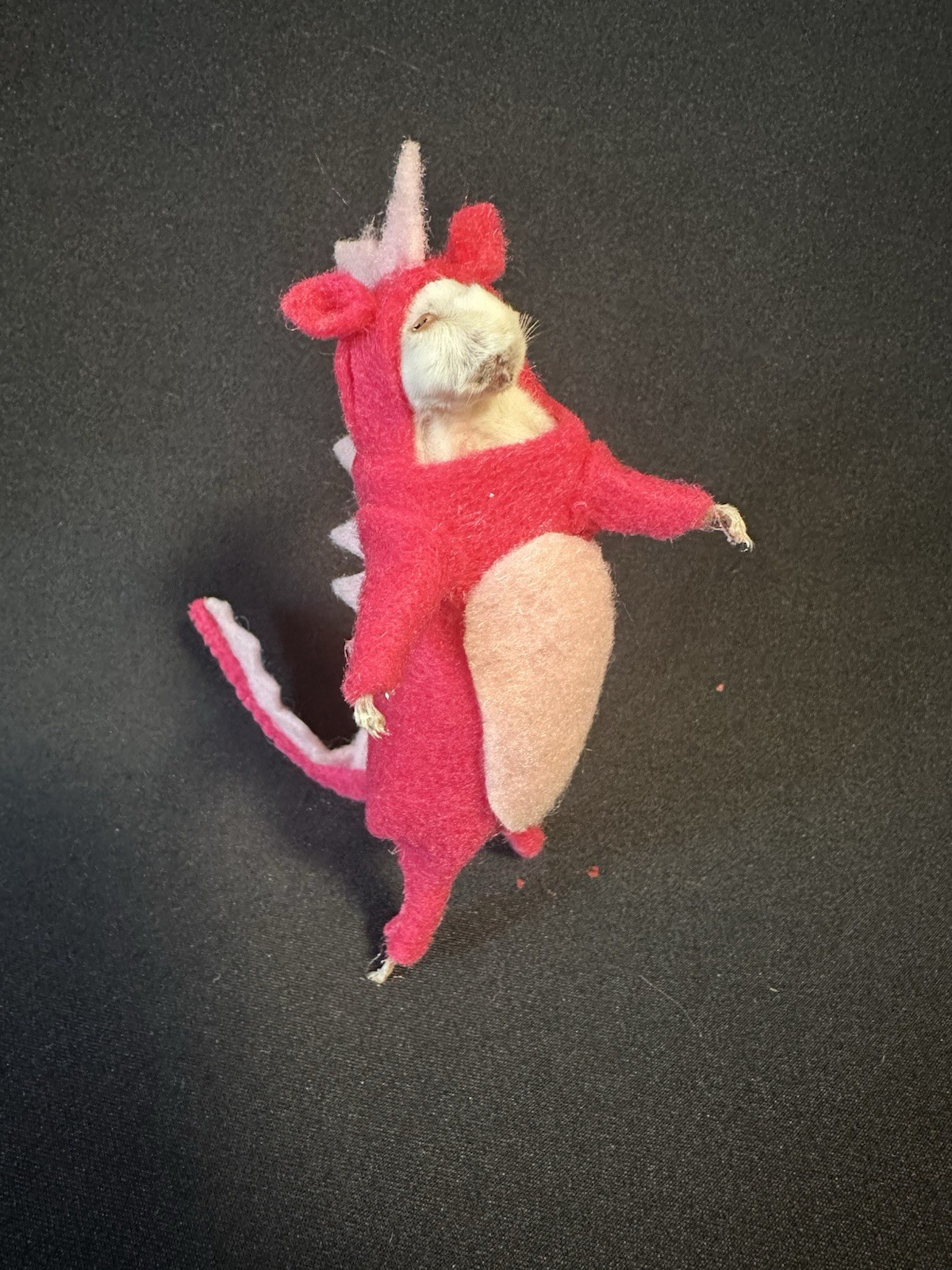 Taxidermy Mouse Dinosaur Mouse Oddities Curiosities Taxidermy Art