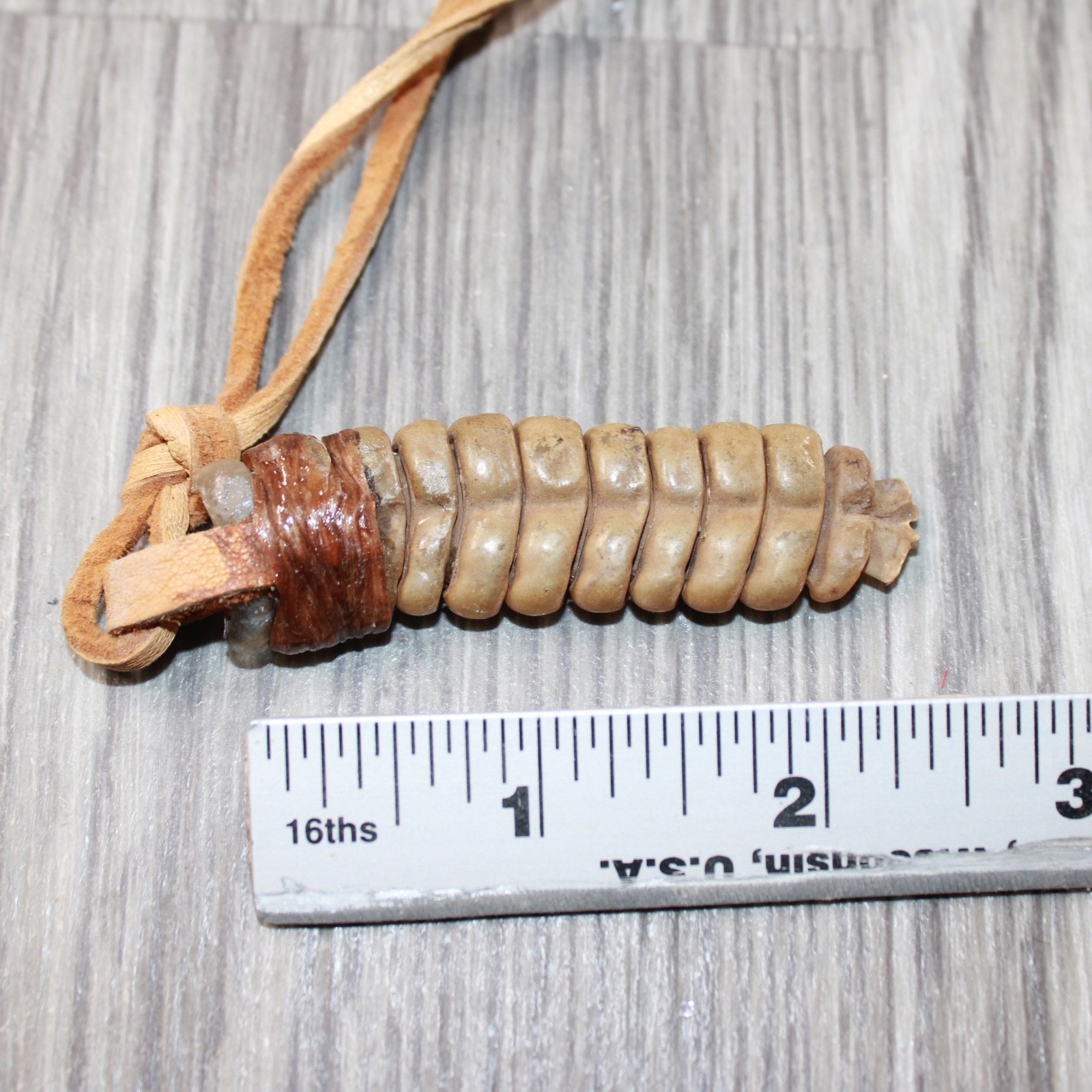 Extra Large Rattlesnake Rattle Necklace #4063 Mountain Man Necklace